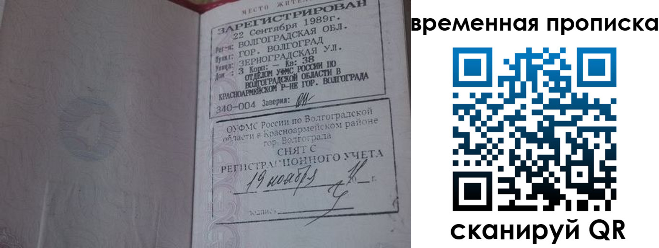 прописка законно в Коле